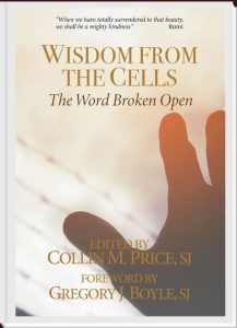 Wisdom from the Cells: The Word Broken Open - book cover